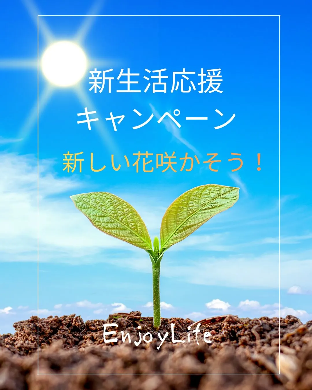 「新生活、整える準備できてる？」