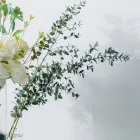 プライバシーポリシー